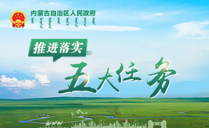 推进落实五大任务